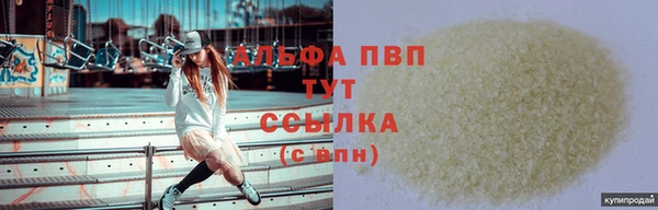 молекула духа Пересвет