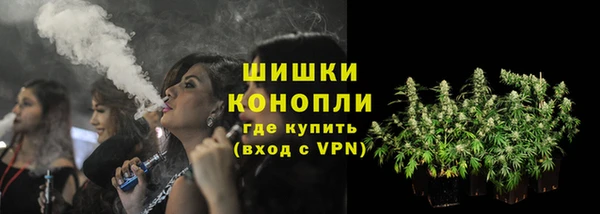 молекула духа Пересвет