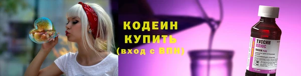 молекула духа Пересвет