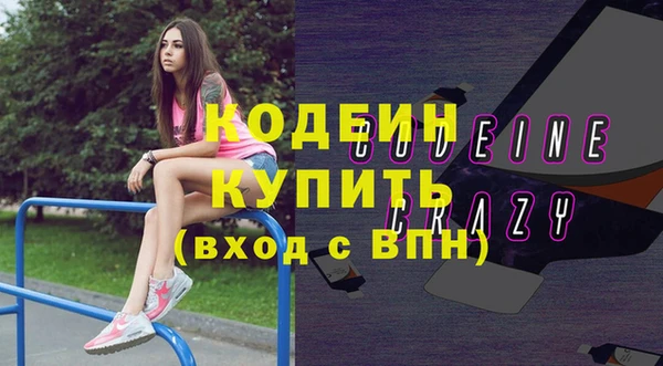 молекула духа Пересвет