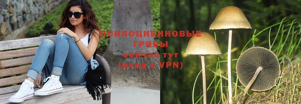 ALPHA PVP Переславль-Залесский