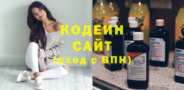 молекула духа Пересвет