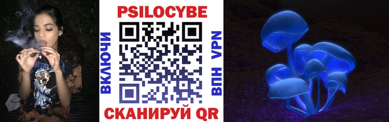 Псилоцибиновые грибы Cubensis  магазин  наркотиков  Саки 