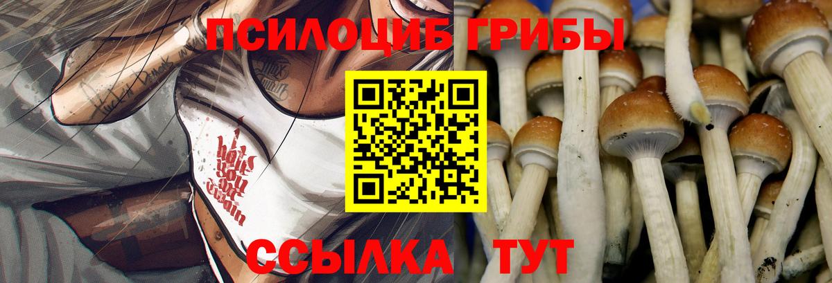 Псилоцибиновые грибы Cubensis  Псилоцибиновые грибы прущие грибы  Саки  Вход с VPN 